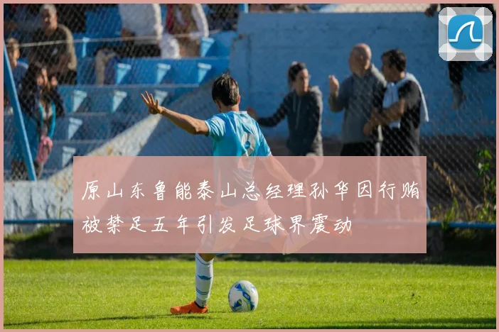 原山东鲁能泰山总经理孙华因行贿被禁足五年引发足球界震动